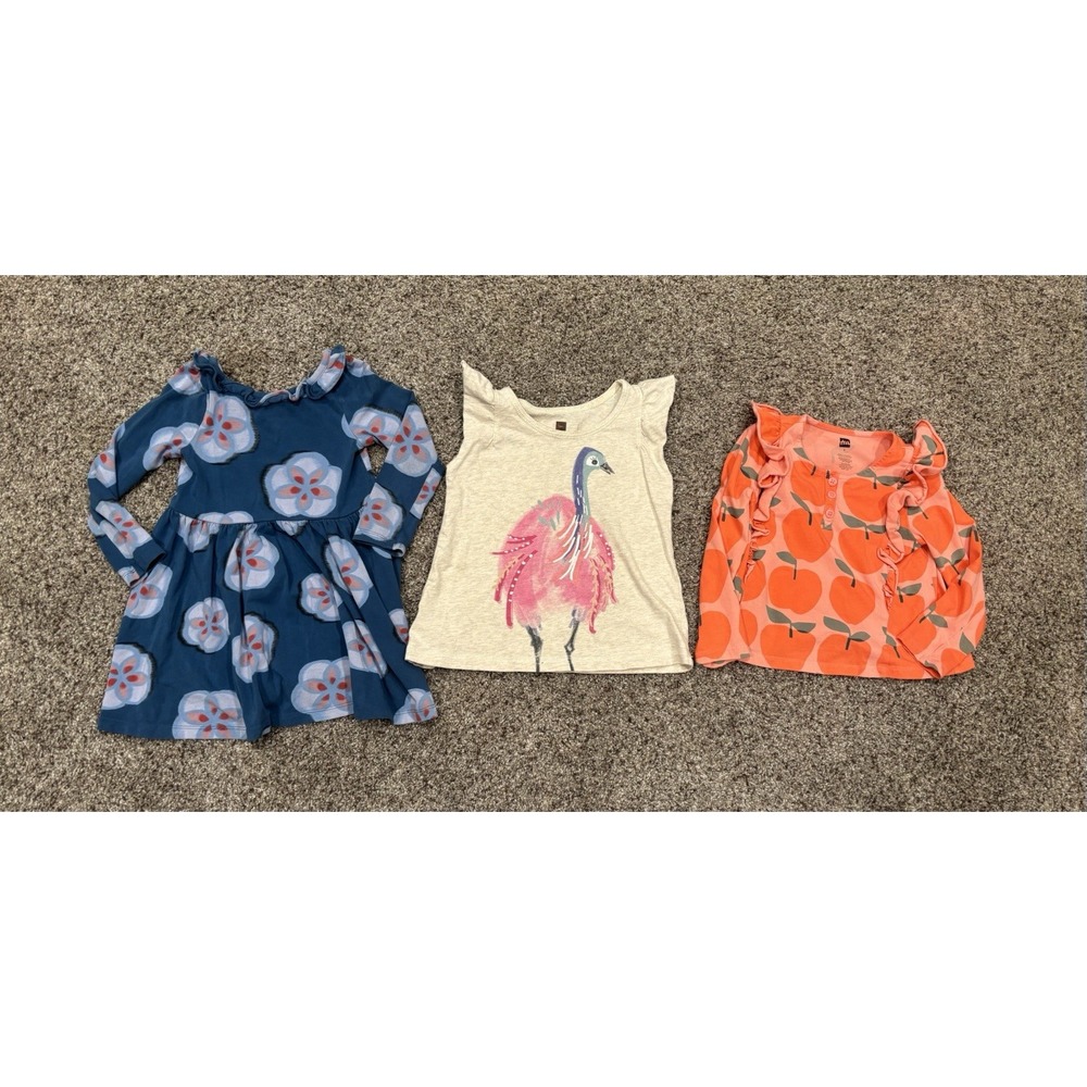 Tea Collection Girls Lot Of 2 Shirts and 1 Dress Size 3
